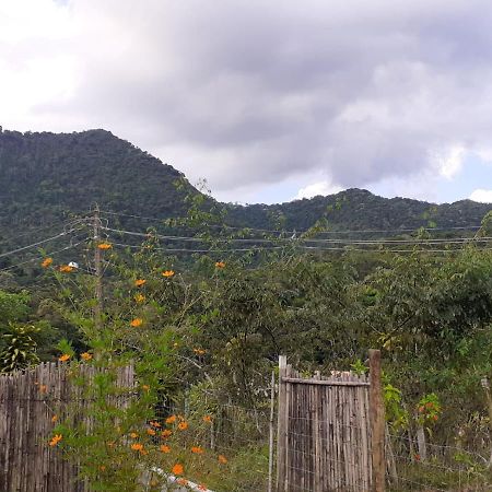 Willa Casa Venus Sao Pedro da Serra  Zewnętrze zdjęcie