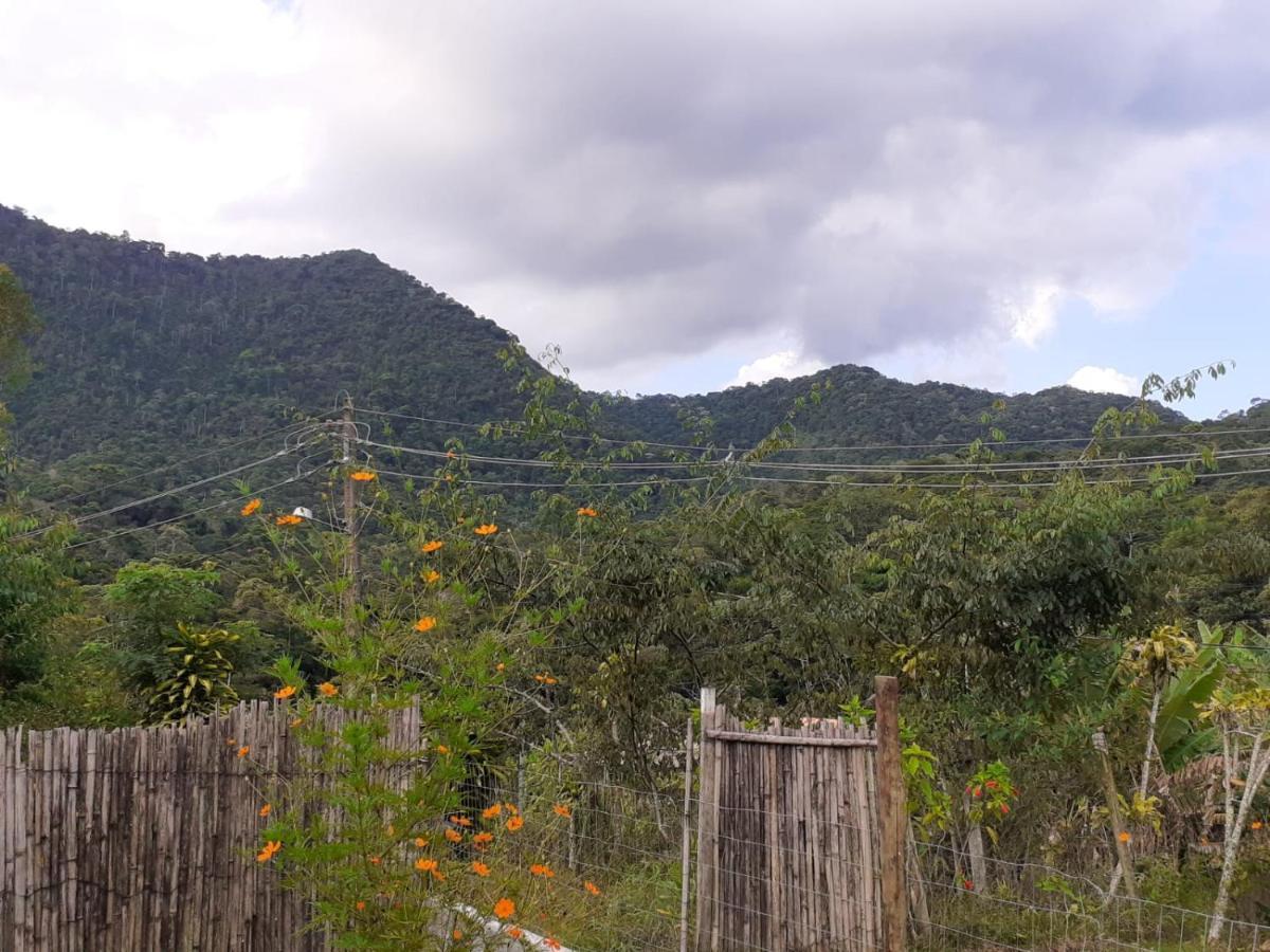 Willa Casa Venus Sao Pedro da Serra  Zewnętrze zdjęcie